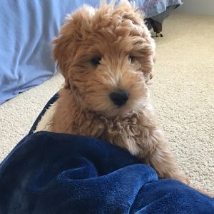 Meet your Posher, John